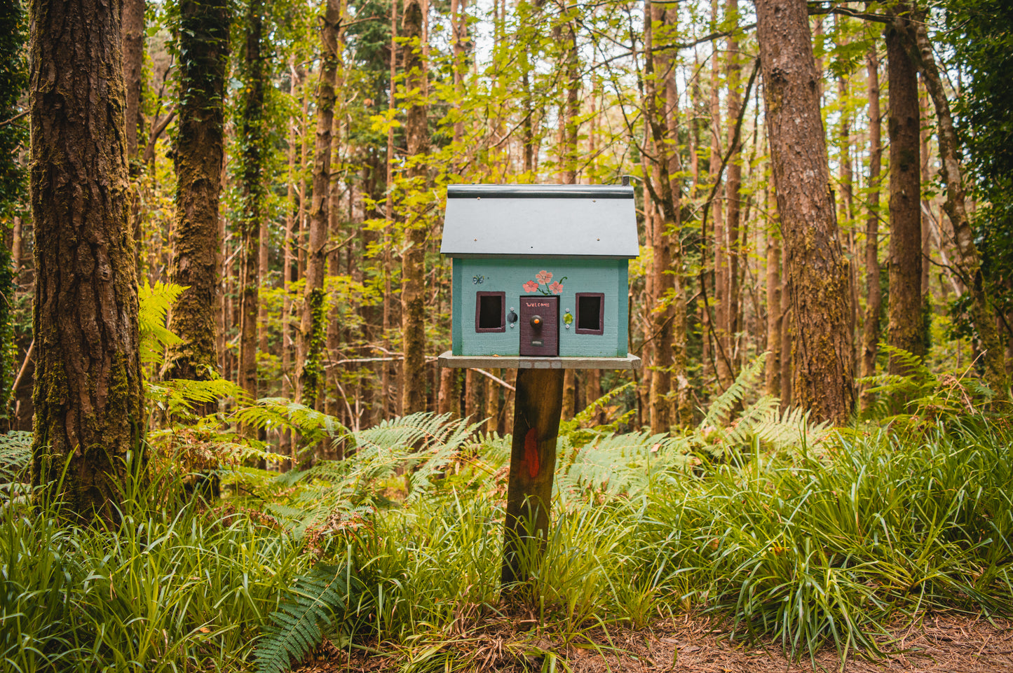 Les maisons de fées de Glenbeigh