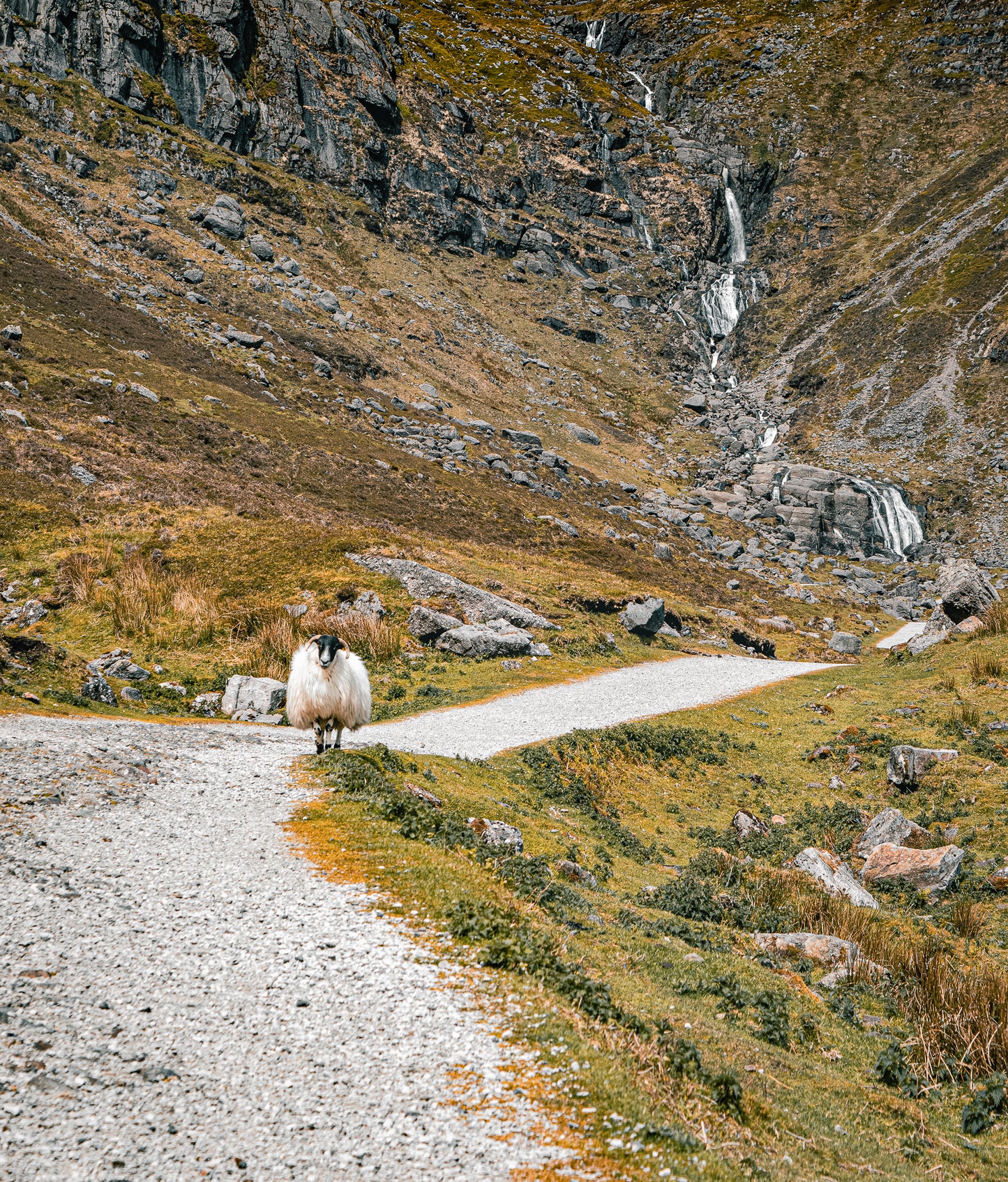 Les cascades de Mahon Falls, co. Waterford