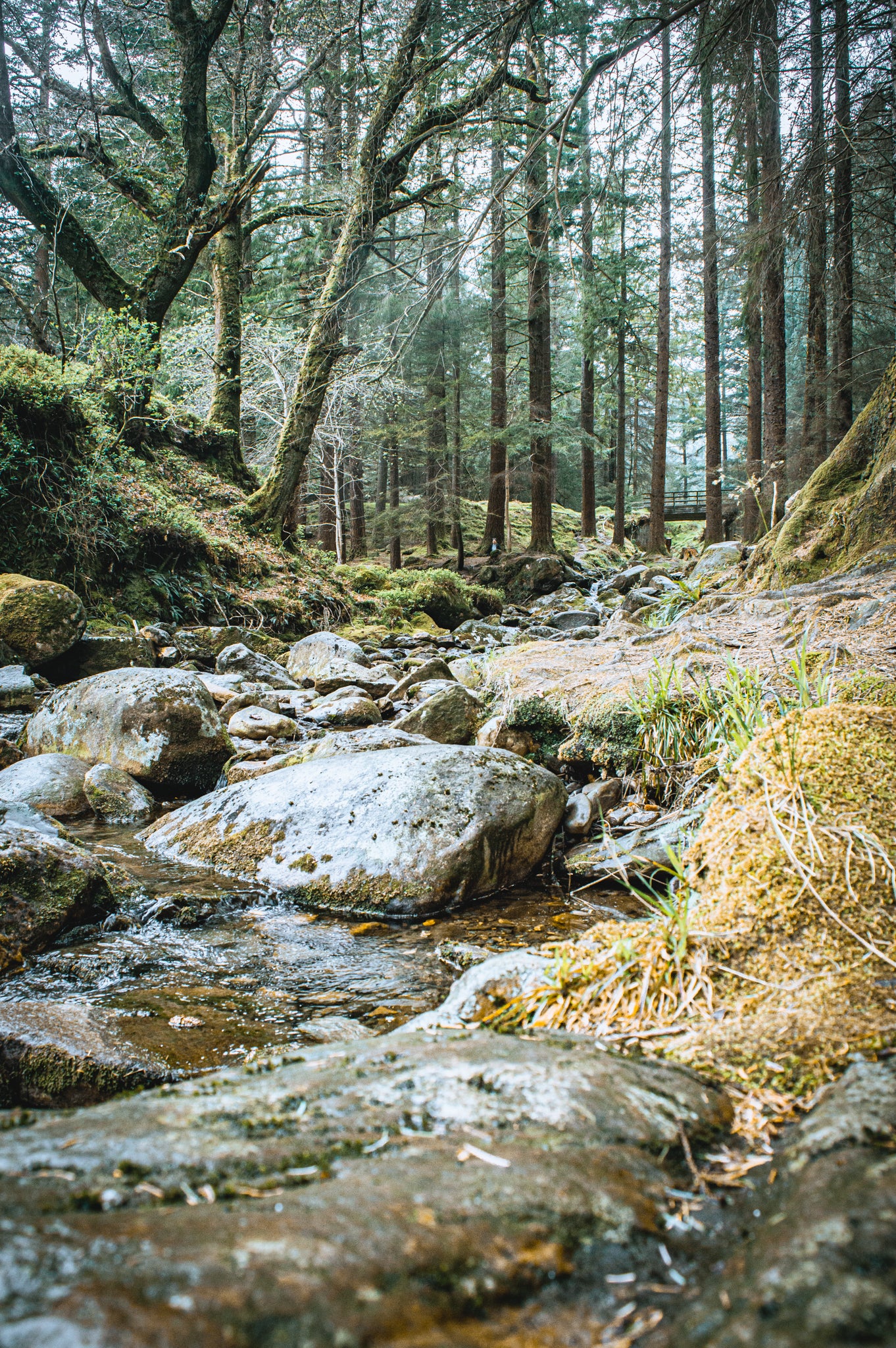 Échappée sauvage dans les montagnes de Wicklow