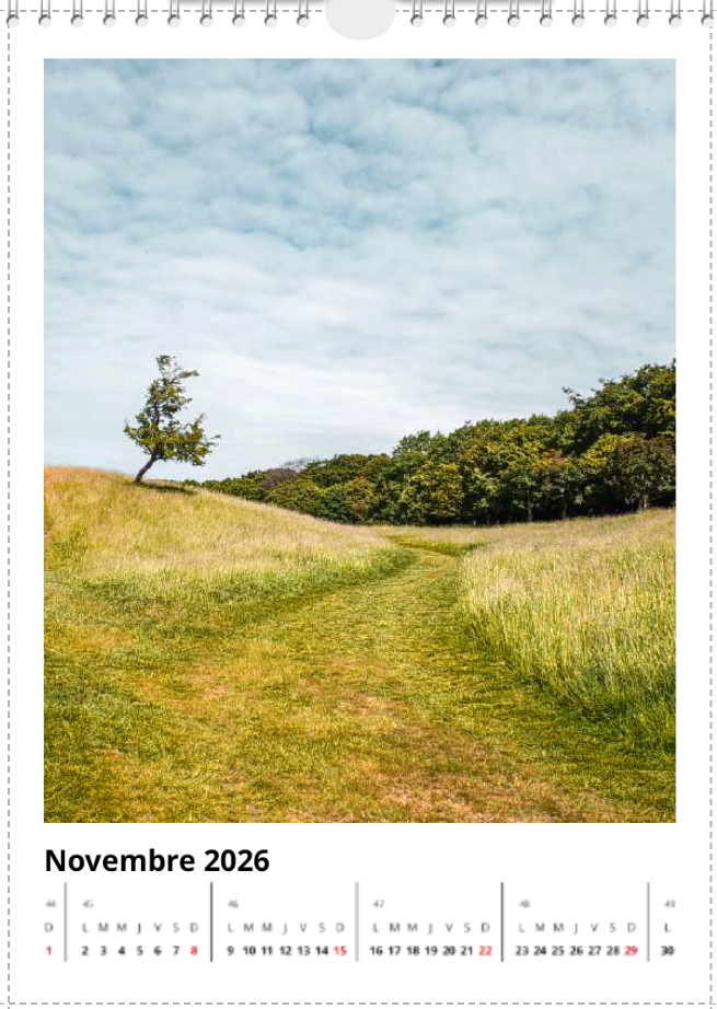 Calendrier mural 2026