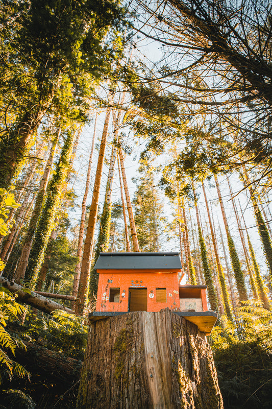 Les maisons de fées de Glenbeigh