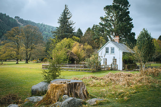 La beauté simple et sereine de Wicklow