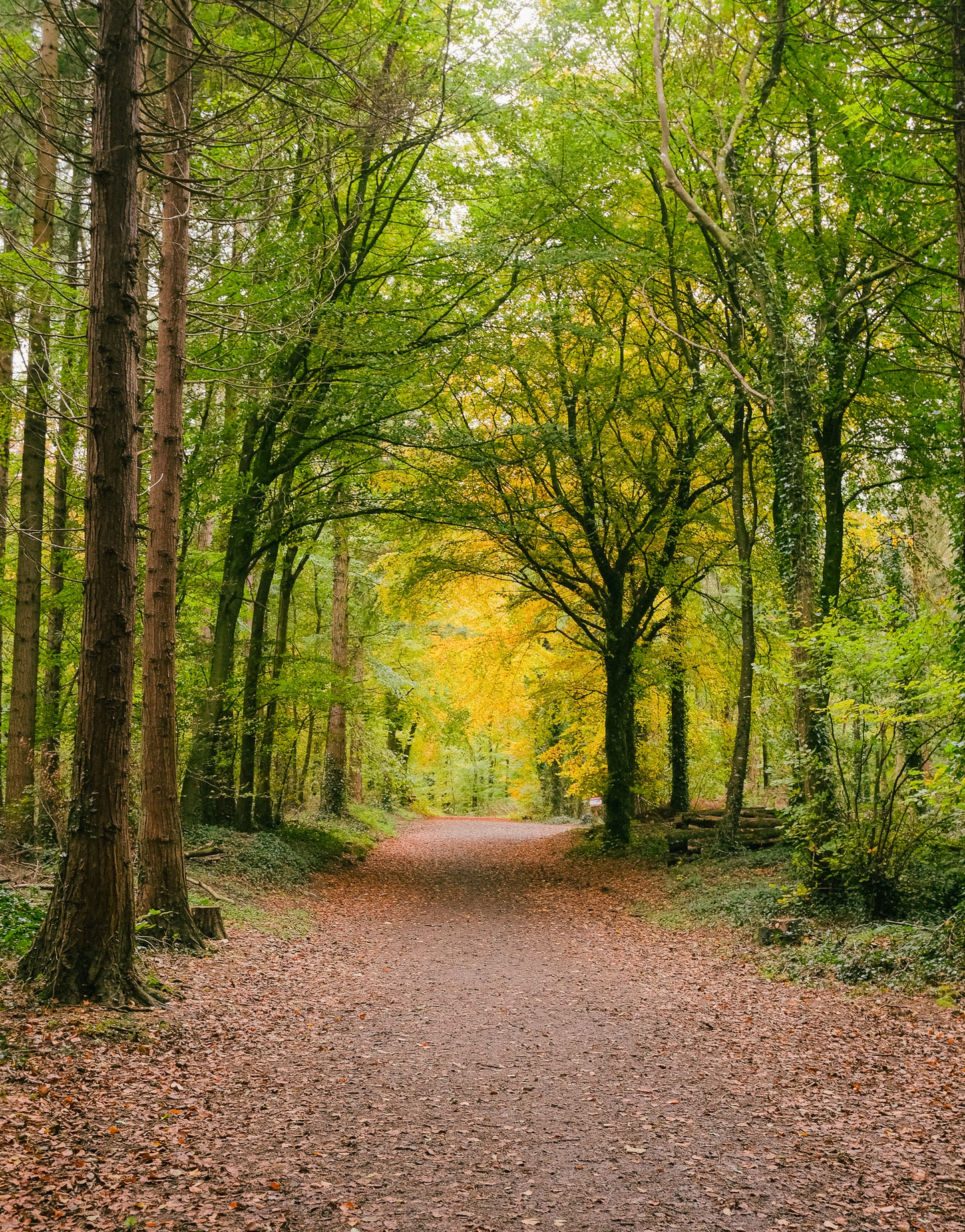 Une échappée dorée au cœur de l’Irlande sauvage