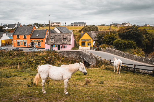 Les chevaux en Irlande